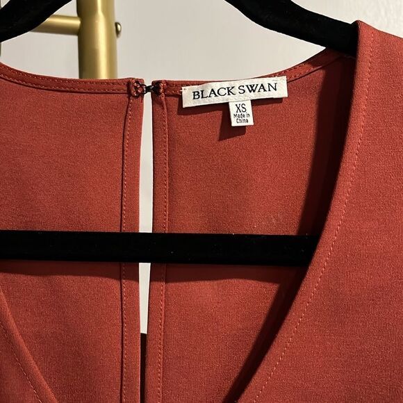 Black Swan NWOT rust form fitted dress - Picture 4 of 6